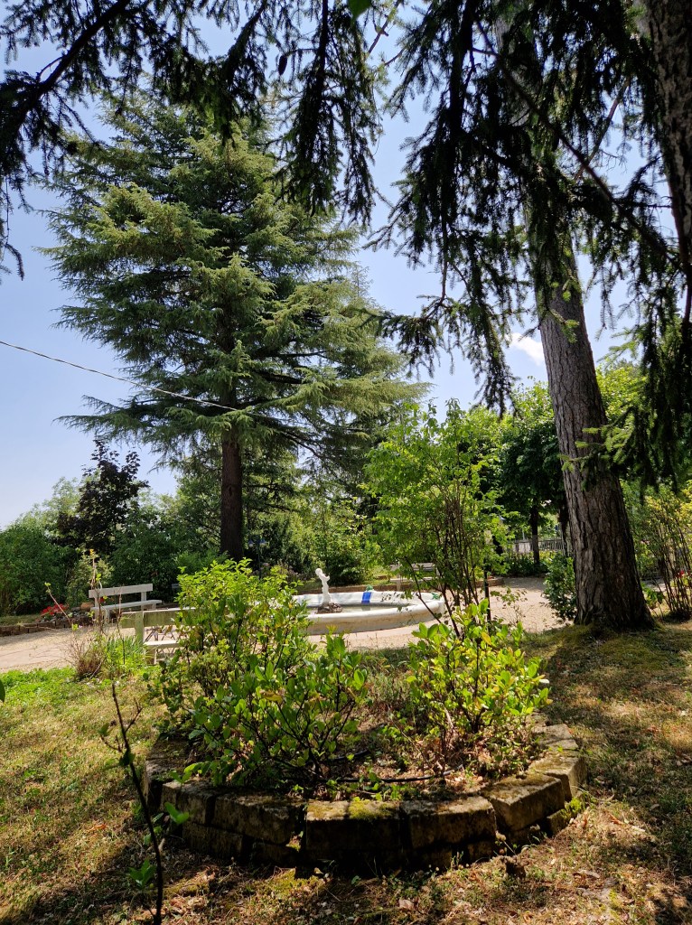 Albergo Nappini Lizzano in Belvedere